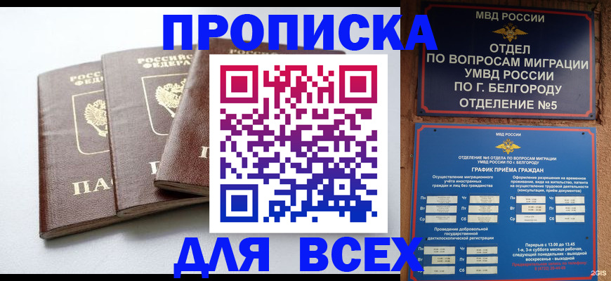 прописка в Коле